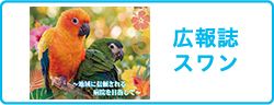 広報誌スワン