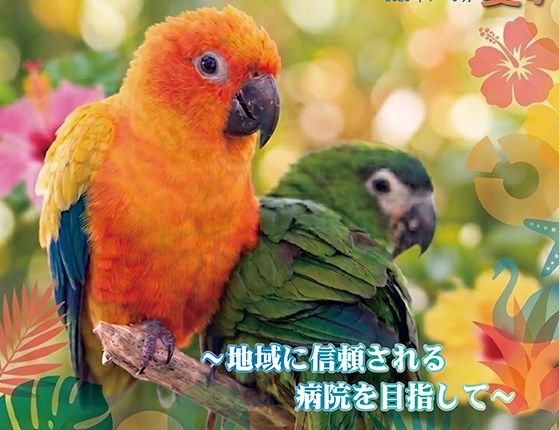 広報誌SWAN